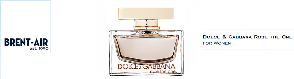 Dolce and gabbana cheap rose the one sephora